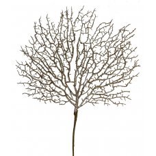 Χριστουγεννιάτικο Κλαδί Φτέρης Καραμελέ